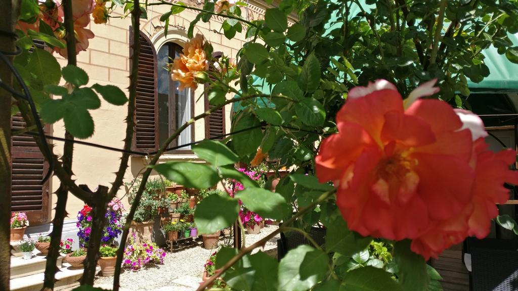 La Chicca B&B Siena Exterior foto